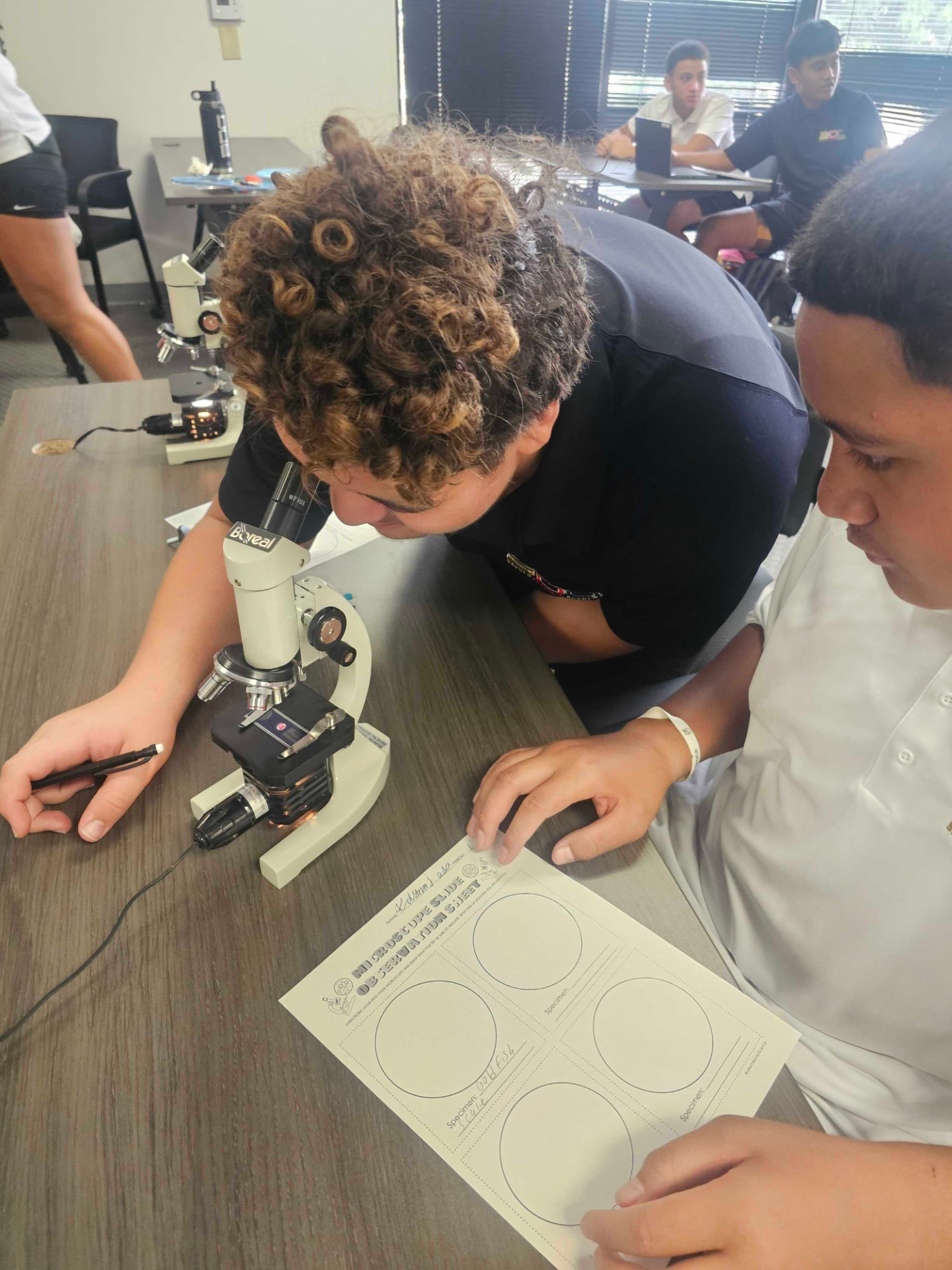 Students using microscopes during a science lab